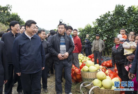 2013年11月3日至5日,，中共中央總書記,、國家主席、中央軍委主席習(xí)近平在湖南考察,。這是3日下午,，習(xí)近平來到湘西土家族苗族自治州鳳凰縣廖家橋鎮(zhèn)菖蒲塘村了解扶貧開發(fā)和水果產(chǎn)業(yè)發(fā)展情況。 新華社記者 王曄攝